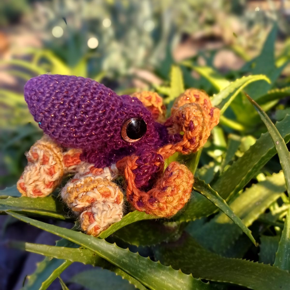 Small Octopus - Opal - Image 2